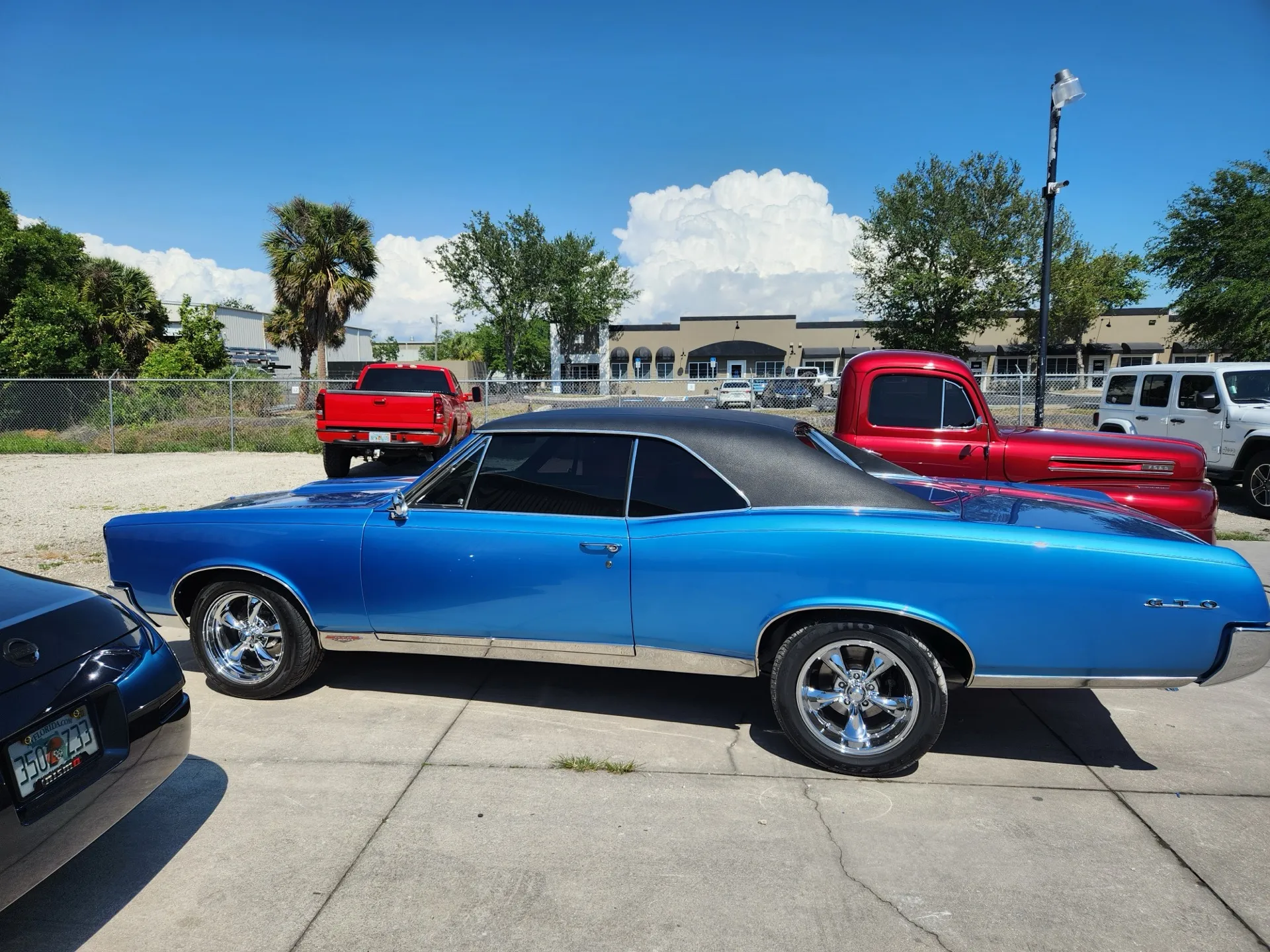 Blue Pontiac GTO with dark tint — outdoor